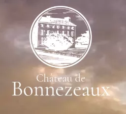 Château de Bonnezeaux