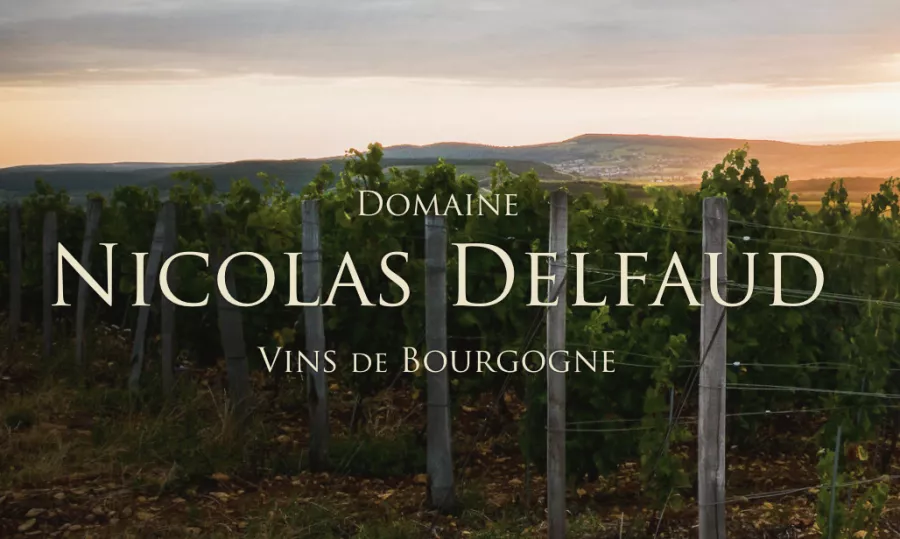 Domaine Nicolas Delfaud