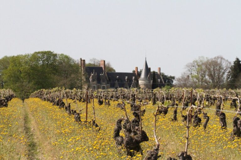Domaine de L'Ecu