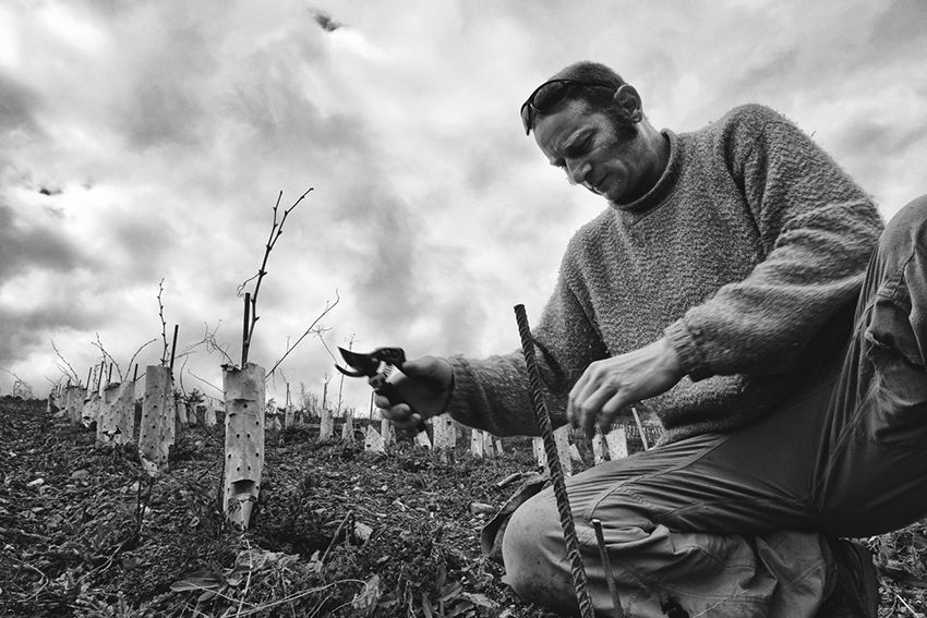 Domaine Jeremy Bricka